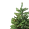 Thumbnail image 2 of 3.