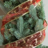 Thumbnail image 2 of 3.