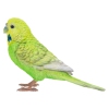 Thumbnail image 3 of 7.