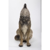Thumbnail image 1 of 5.