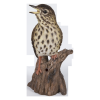 Thumbnail image 1 of 7.