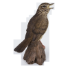 Thumbnail image 2 of 7.