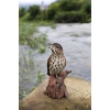 Thumbnail image 3 of 7.