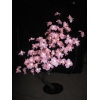 Thumbnail image 1 of 3.