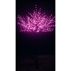 Thumbnail image 3 of 4.