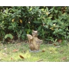 Thumbnail image 3 of 7.