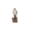 Thumbnail image 1 of 7.