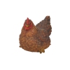 Image miniature 3 de 5.