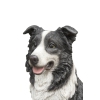 Image miniature 2 de 7.