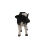 Thumbnail image 3 of 4.