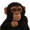 Thumbnail image 1 of 6.