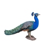 Image miniature 3 de 4.
