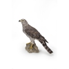 Image miniature 2 de 8.