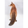 Thumbnail image 3 of 4.