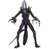 Thumbnail image 2 of 2.