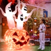 Thumbnail image 2 of 8.