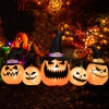 Thumbnail image 1 of 10.