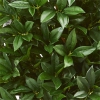 Thumbnail image 3 of 3.