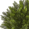 Thumbnail image 2 of 3.