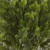 Thumbnail image 3 of 3.
