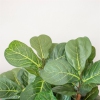 Thumbnail image 3 of 7.