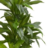 Thumbnail image 2 of 5.