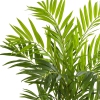 Thumbnail image 2 of 3.