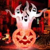Thumbnail image 1 of 10.