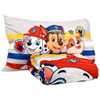 Colour Paw Patrol |  Multi