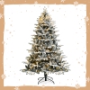 Thumbnail image 2 of 10.