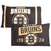 Colour Boston Bruins