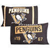 Colour Pittsburgh Penguins