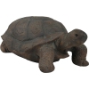 Thumbnail image 1 of 5.