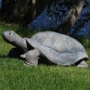 Thumbnail image 2 of 5.