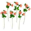 Thumbnail image 1 of 6.