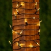 Thumbnail image 2 of 6.