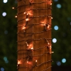 Thumbnail image 3 of 7.