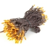 Thumbnail image 1 of 6.