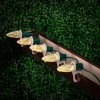 Thumbnail image 2 of 7.