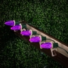 Thumbnail image 2 of 6.