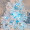 Thumbnail image 3 of 7.