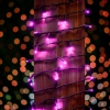Thumbnail image 3 of 7.