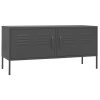 Couleur Anthracite