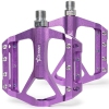 Couleur 615-Violet