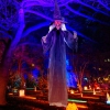 Thumbnail image 1 of 9.