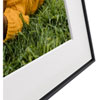Thumbnail image 6 of 6.