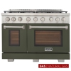 Couleur Vert olive