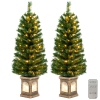 Colour 2PCS-Green