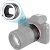 Thumbnail image 2 of 5.