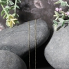 Thumbnail image 2 of 6.